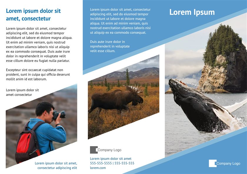 Brochure et dépliant imprimables gratuits - L'aventure du secteur hôtelier | Brother Creative Center