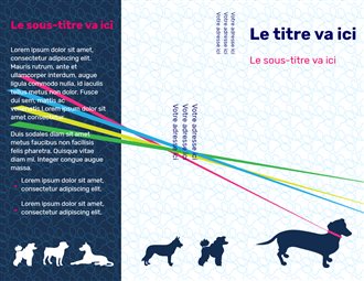 Exercices pour chiens