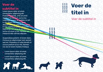 Huisdiertraining