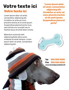 Animaux de compagnie