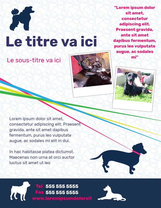 Exercices pour chiens