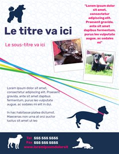 Exercices pour chiens