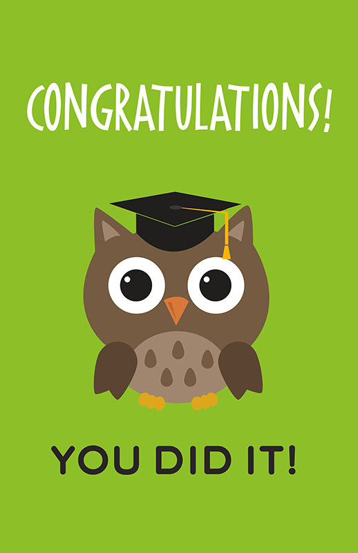 Graduation Owl