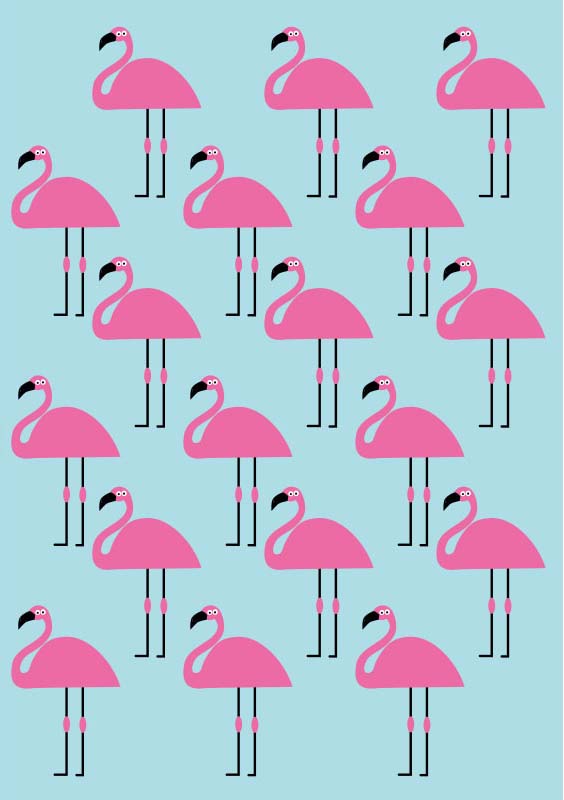 Flamingo