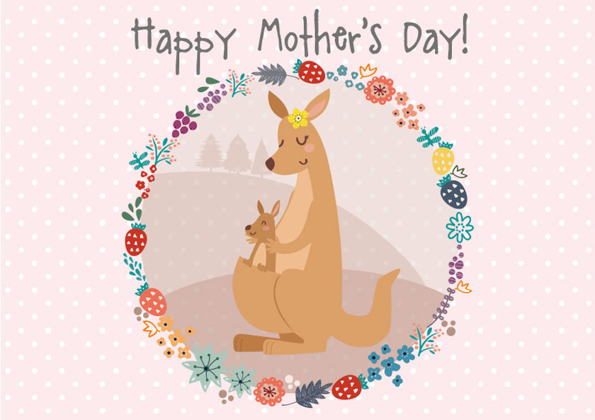 Maman et bébé kangourou