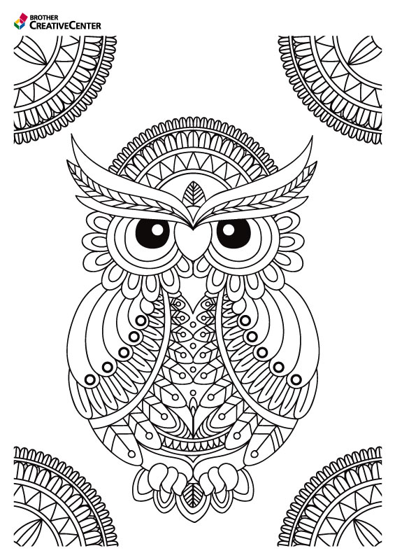 Free Printable Coloring Page Template - Magical Owl | Brother Creative Center