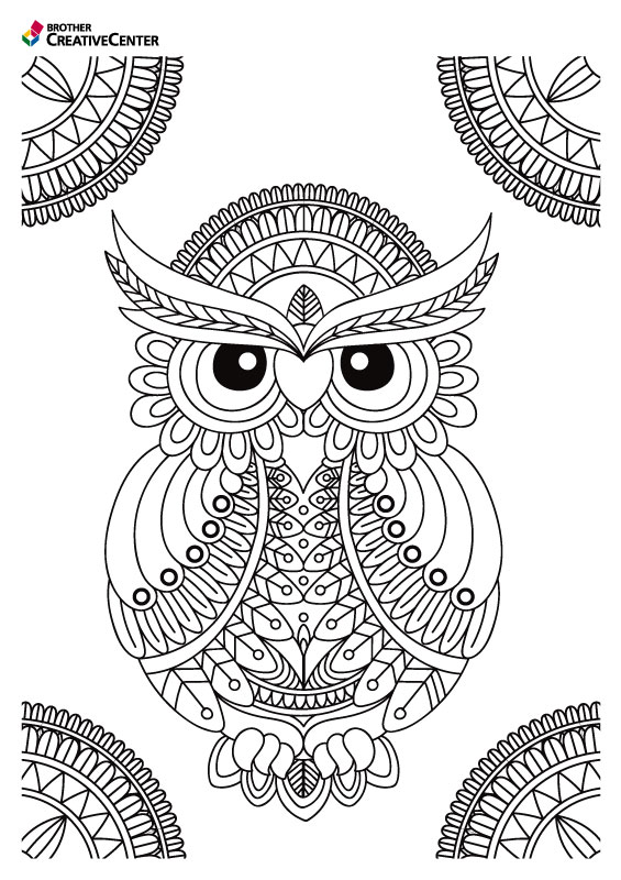 Printable Colouring Page for Free - Magical Owl | Brother Creative Center