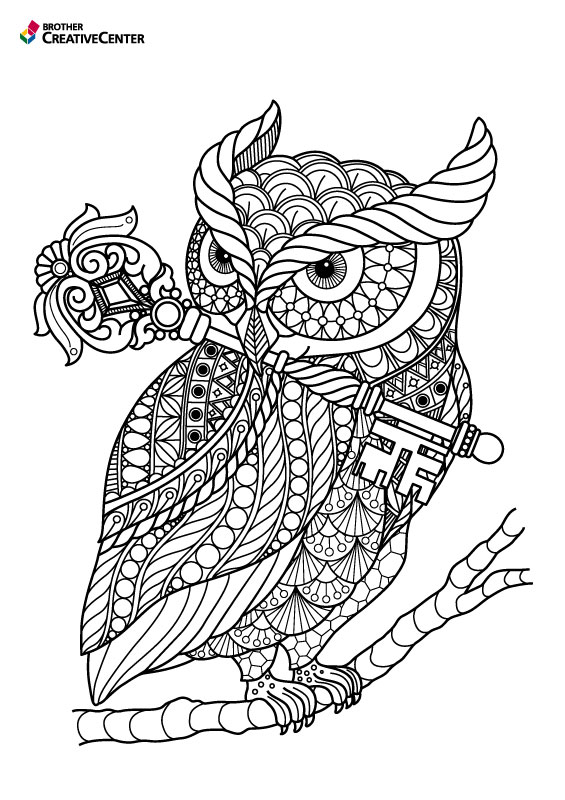 Pages de coloriage imprimables gratuitement - Le hibou et la clé | Brother Creative Center