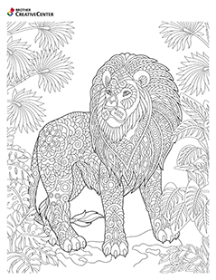 Colorir animal selvagem - leão
