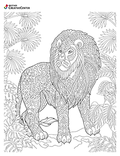 Wild Animal Coloring - Lion