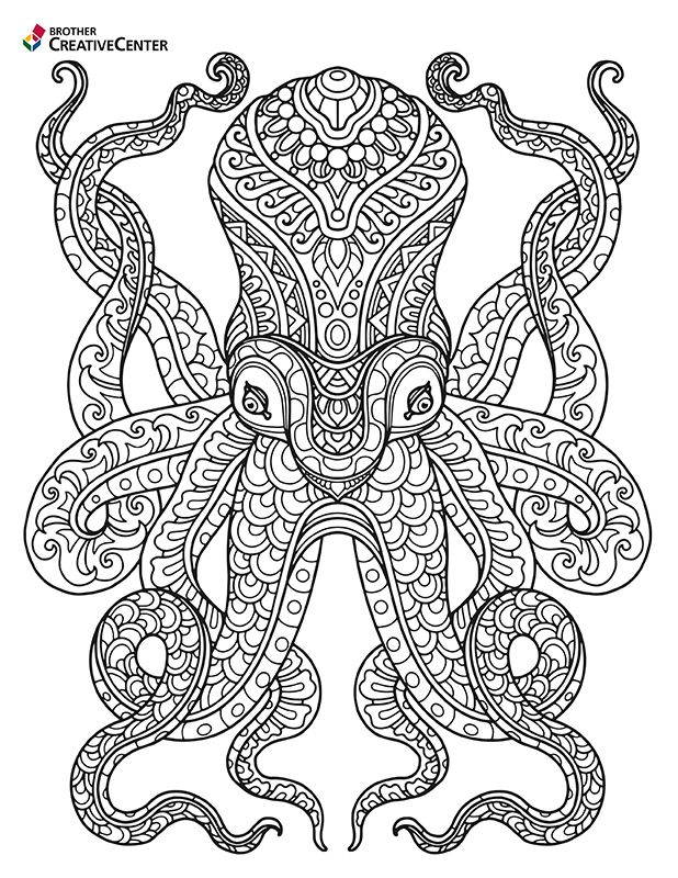 Wild Animal Colouring - Octopus