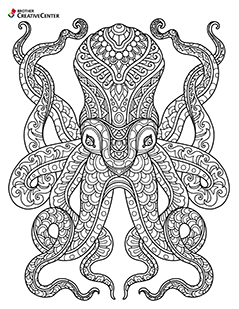 Coloriage Animal sauvage - poulpe