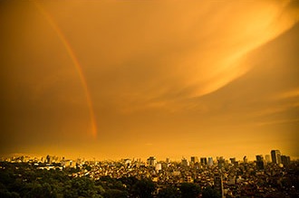 Vietnamesische Landschaft