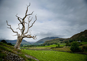 Stormy Countryside