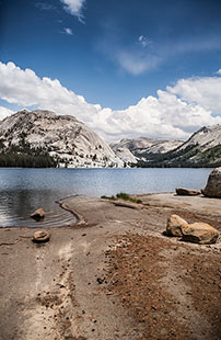 Vue du parc de Yosemite