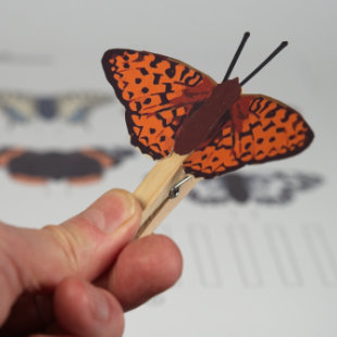 Création papier et origami imprimables gratuitement - Papillon en pince à linge | Brother Creative Center