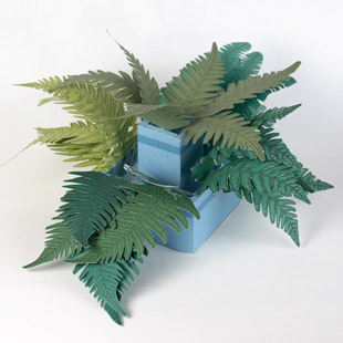 Printable Paper Craft for Free - Terrarium Plants - Ferns | Brother Creative Center