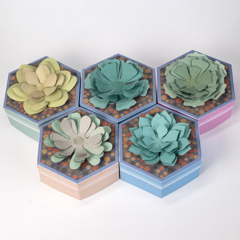 Printable Paper Craft for Free - Terrarium Plants - Succulent | Brother Creative Center